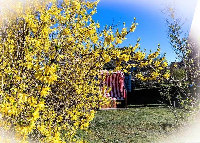 Hotel Anka Norddorf auf Amrum